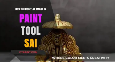 Resizing Images in Paint Tool Sai: A Step-by-Step Guide