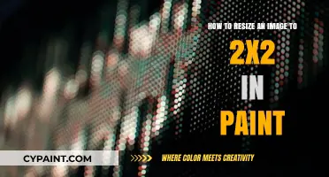Resizing Images: Paint's 2x2 Cropping Guide