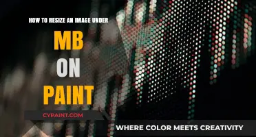 Resizing Images with Paint: Keep Your Photos Under MB