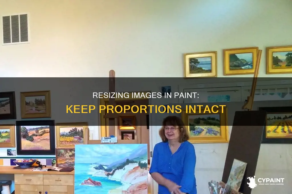 how to resize an image without stretching it paint