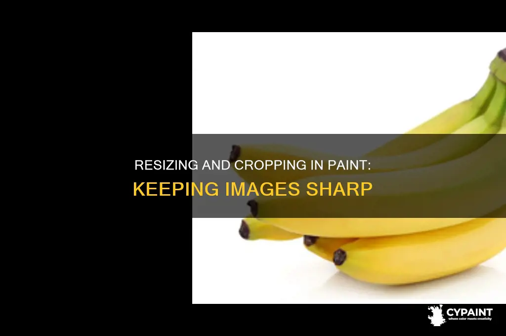 how to resize and crop in paint without blurry