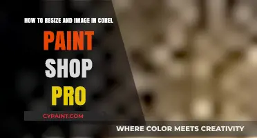 Master Resizing Images in Corel PaintShop Pro: A Step-by-Step Guide