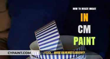 Resize Images Easily: A Step-by-Step Guide Using CM Paint