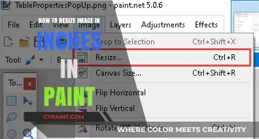 Resize Images in Inches Using Paint: A Step-by-Step Guide