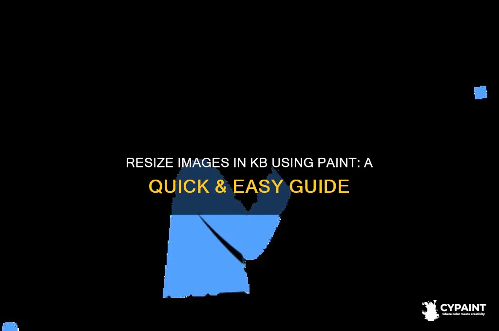 how to resize image in kb in paint