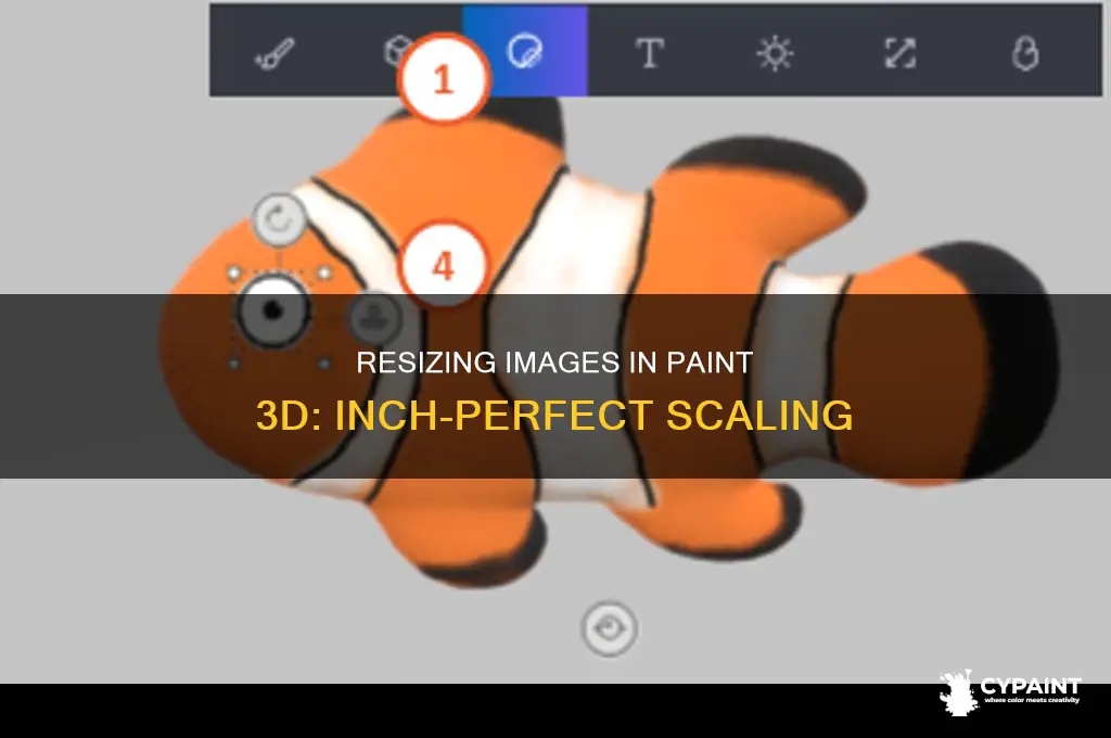 how to resize image in paint 3d in inches