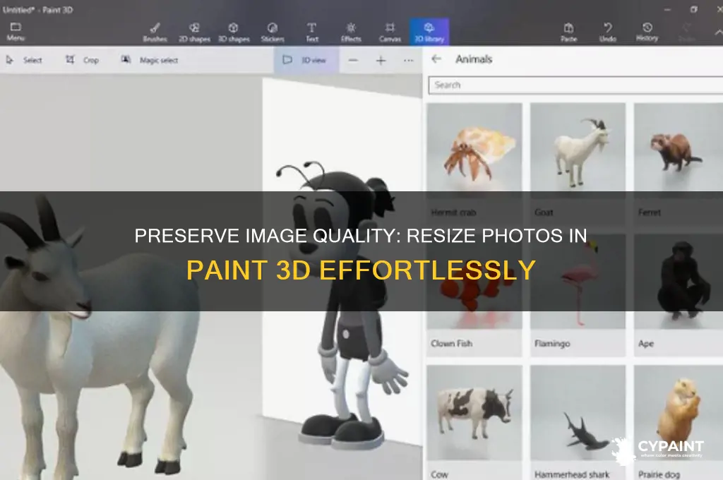 how to resize image in paint 3d without losing quality