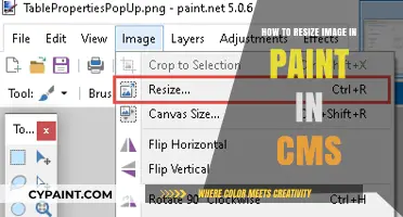 Resize Images in Paint for CMS: A Quick Step-by-Step Guide