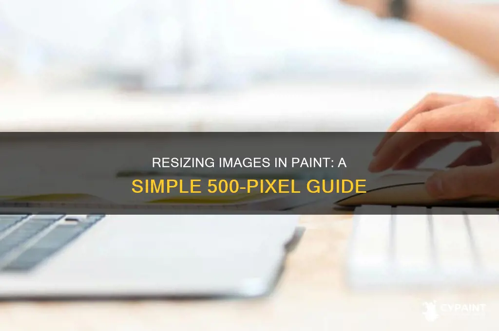how to resize image in paint to 500 pixels