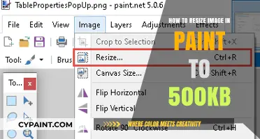 Resize Images in Paint: Easy Guide to 500KB Optimization