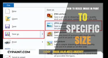 Resizing Images in Paint: A Step-by-Step Guide to Specific Sizes