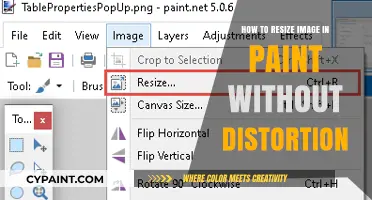 Resize Images in Paint Without Distortion: A Simple Guide