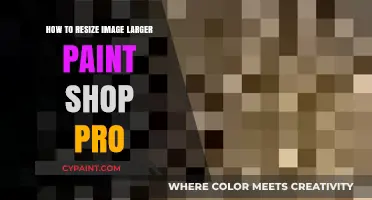 Resizing Images Larger in PaintShop Pro: A Step-by-Step Guide