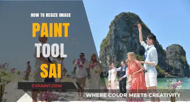 Master Resizing Images in Paint Tool SAI: A Quick Step-by-Step Guide