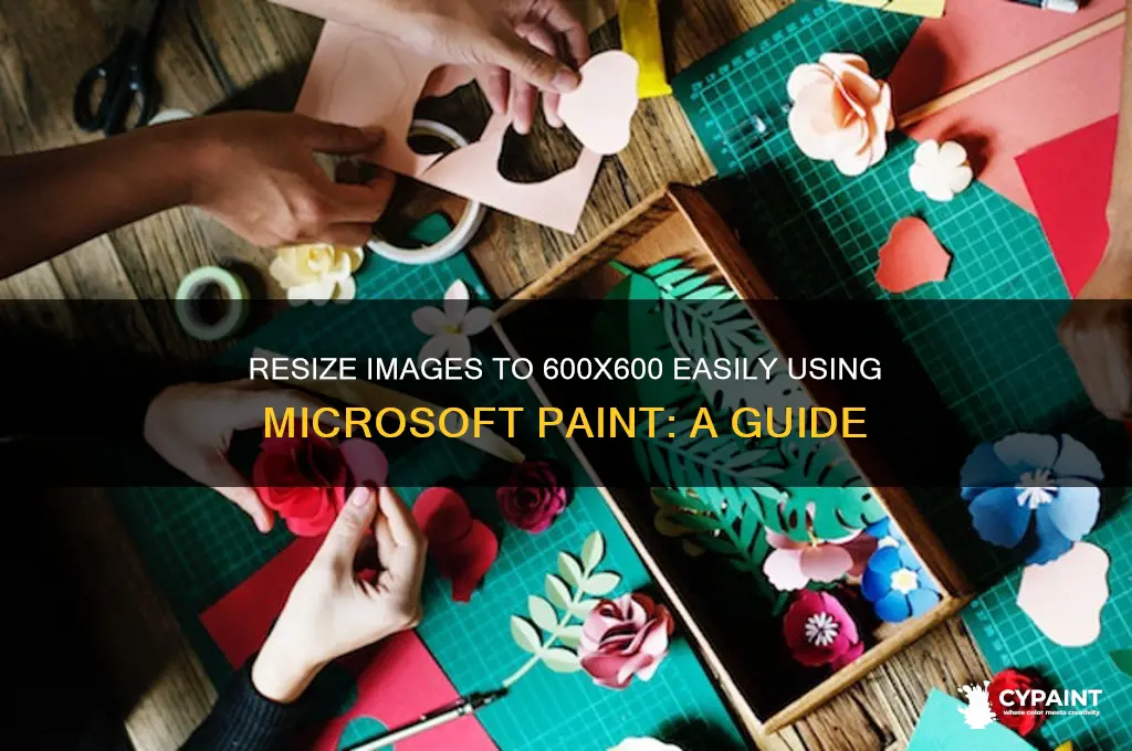 how to resize image to 600x600 in paint