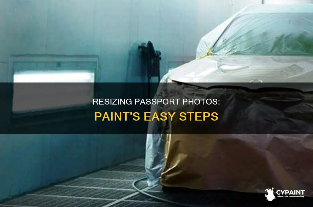 how to resize image to passport size in paint