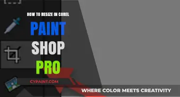 Master Resizing Images in Corel PaintShop Pro: A Step-by-Step Guide