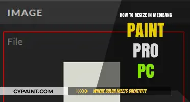 Master Resizing Art in Medibang Paint Pro on PC Easily