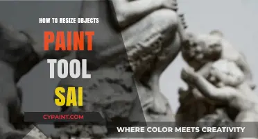 Master Resizing Objects in Paint Tool SAI: A Step-by-Step Guide