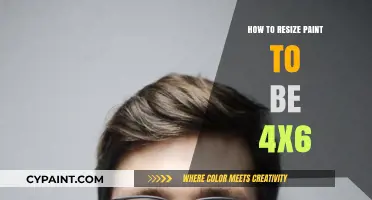 Resizing Paint to 4x6: A Step-by-Step Guide for Beginners