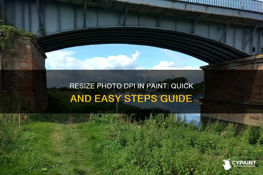 how to resize photo dpi in paint