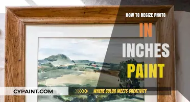 Resize Photos in Inches Using Paint: A Quick Guide