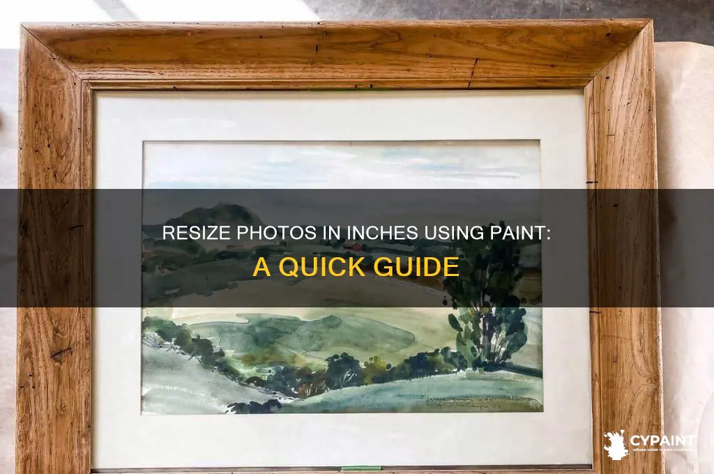 how to resize photo in inches paint