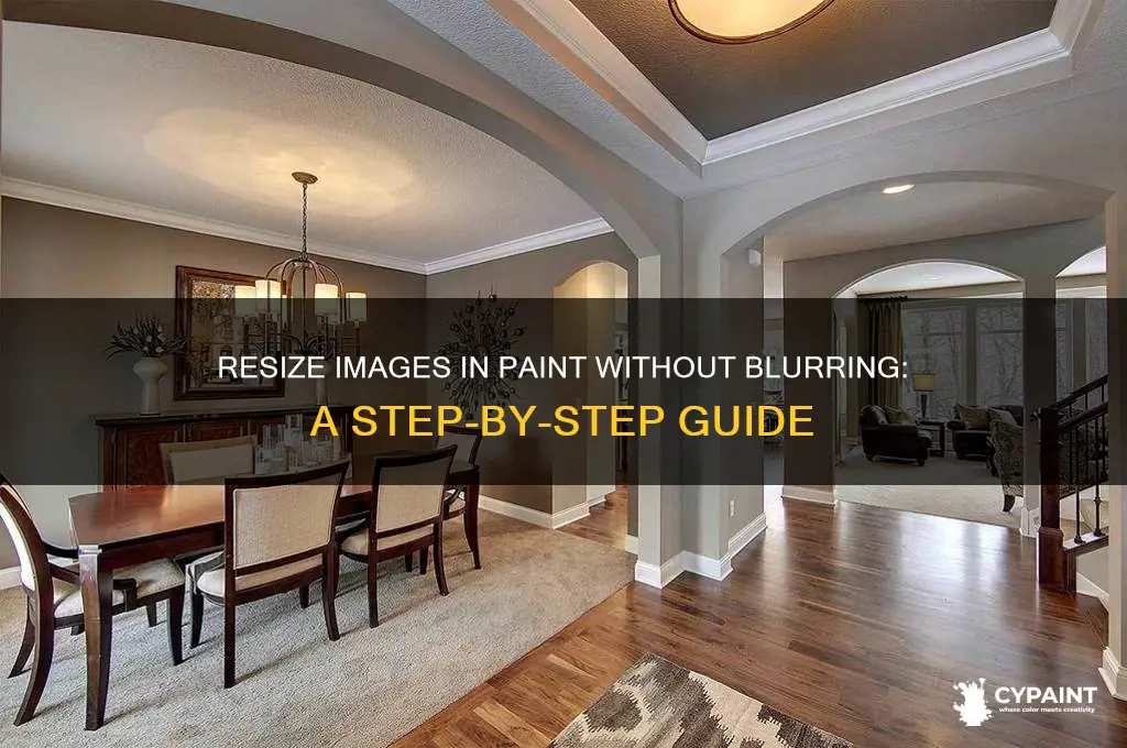 how to resize somthing in paint without blur