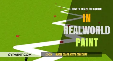 Master Resizing Borders in RealWorld Paint: A Step-by-Step Guide