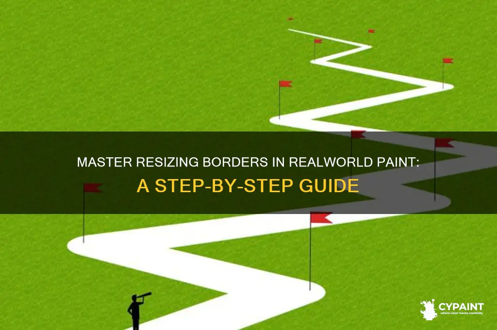 how to resize the border in realworld paint