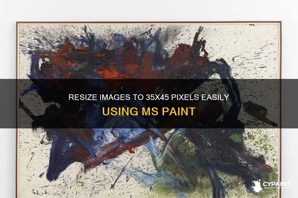 how to resize to 35 45 with paint