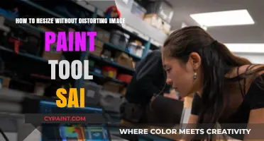 Resizing Images in Paint Tool Sai: Avoid Distortion with These Tips