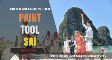 Resizing Selective Items in Paint Tool SAI: A Step-by-Step Guide