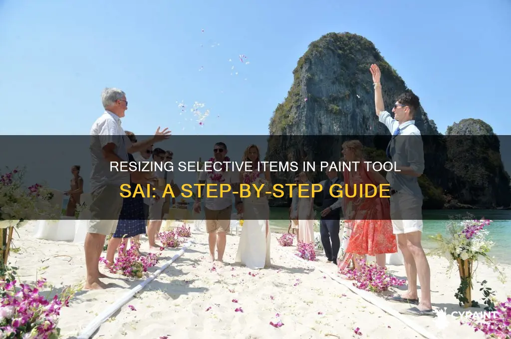 how to resized a selective item in paint tool sai