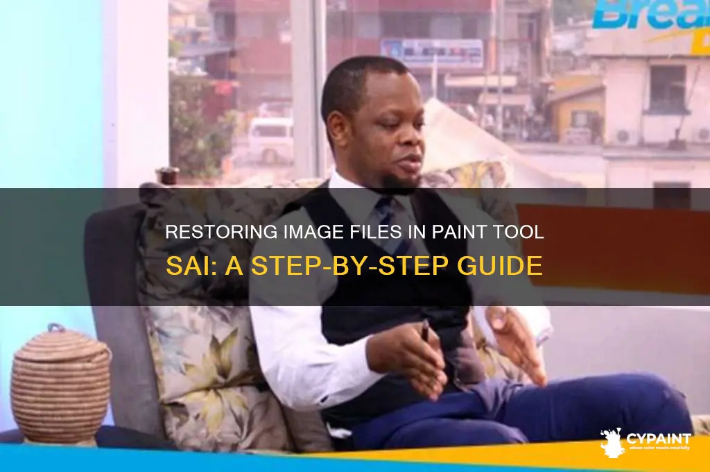 how to restore a image paint tool sai