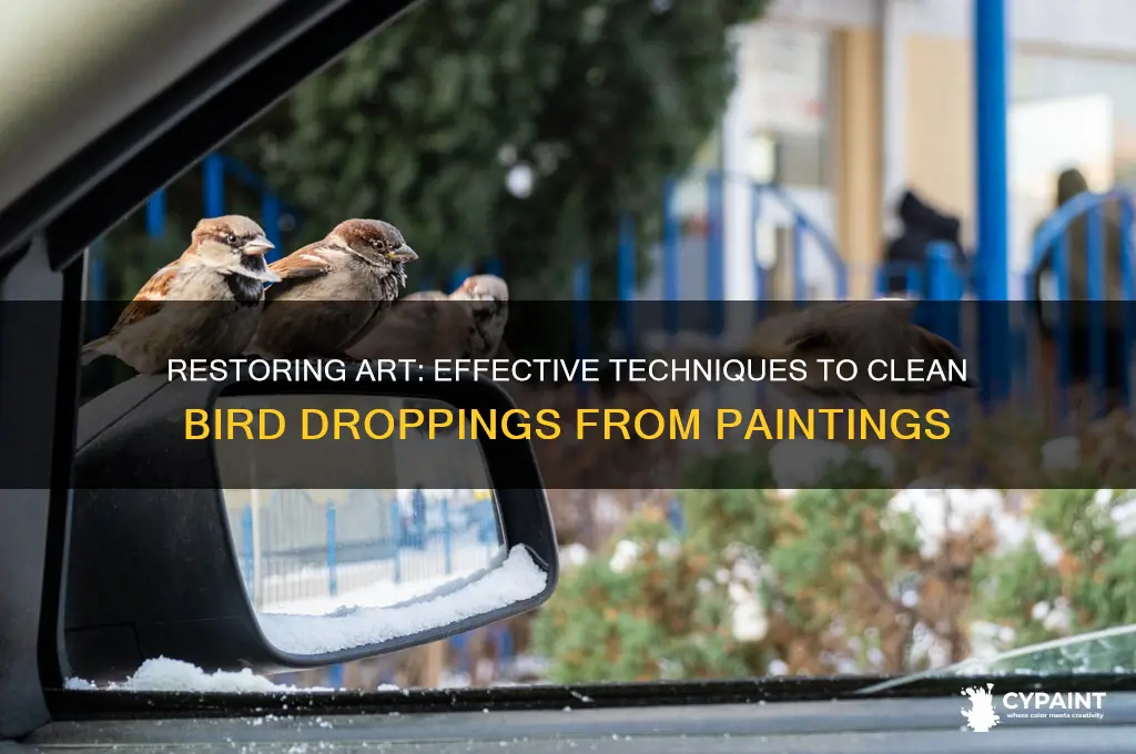 how to restore a painting with bird shit