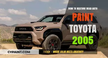 Revive Your 2005 Toyota's Faded Paint: A Complete Restoration Guide