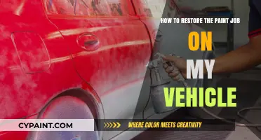 Restore Your Vehicle's Paint Job: A Step-by-Step Guide
