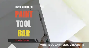 Quick Guide to Restoring the Paint Tool Bar in Your Software