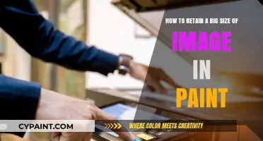 Preserve Image Quality: Retaining Large Sizes in Paint Effortlessly