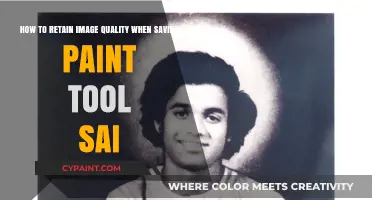 Preserve Image Quality: Saving Tips for Paint Tool SAI Users