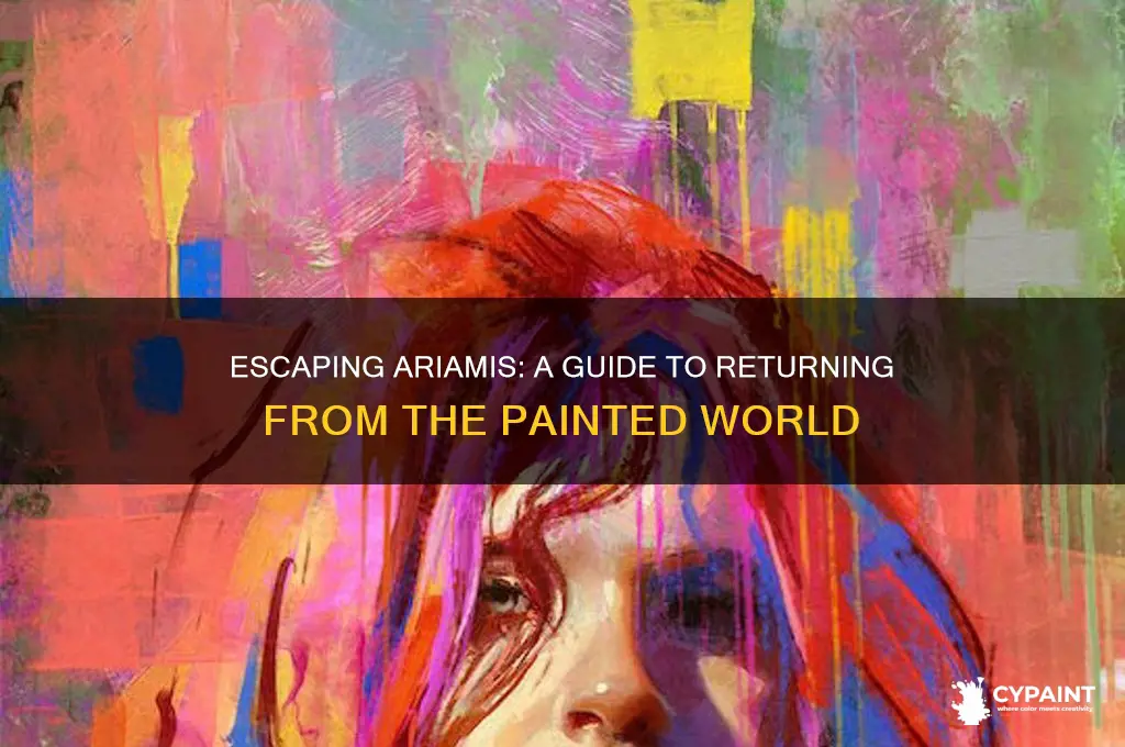 how to return from painted world of ariamis