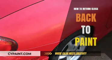 Revive Your Paint's Shine: Easy Steps to Restore Glossy Finish