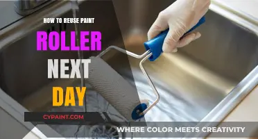 Reusing Paint Rollers: Next-Day Tips for Efficient and Eco-Friendly Painting