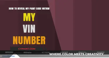 Uncover Your Car's Paint Code Hidden in the VIN Number