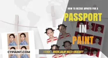 Resizing Passport Photos: A Paint Guide