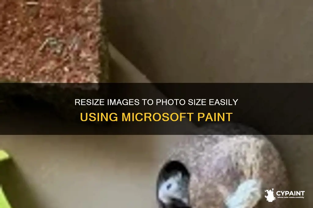 how to rezize an image to photo size on paint
