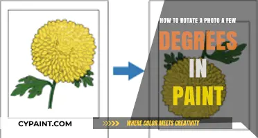 Simple Steps to Rotate Your Photos in Paint by Degrees
