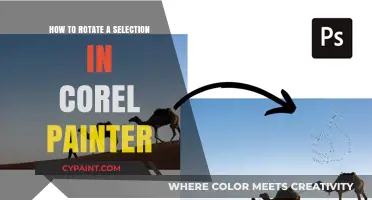Mastering Corel Painter: Effortlessly Rotate Selections in Simple Steps