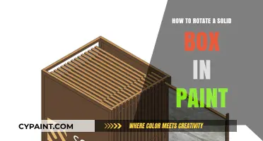Master Rotating Solid Boxes in Paint: A Step-by-Step Guide